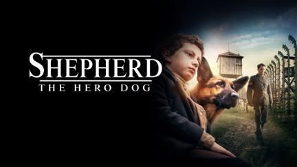 Shepherd - Die Geschichte eines Helden poster