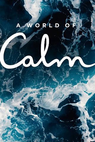 A World of Calm poster