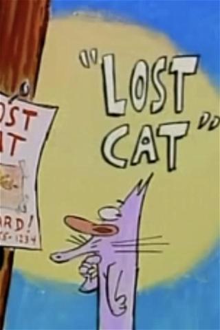 Lost Cat poster