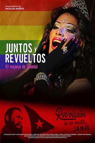 Juntos y revueltos: El mejunje de Silverio poster