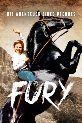 Fury - Die Abenteuer eines Pferdes poster