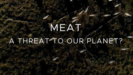 Carne: ¿una amenaza para el planeta? poster