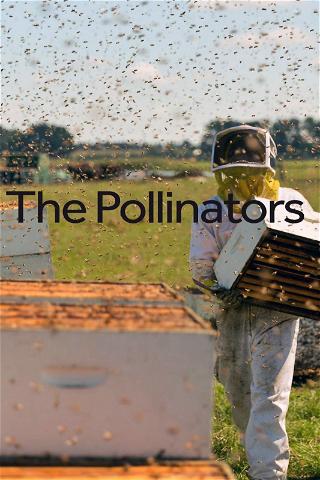 Les pollinisateurs poster