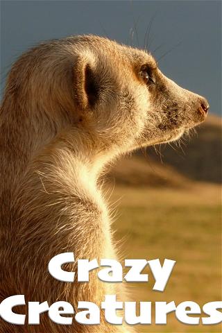 Crazy Creatures poster