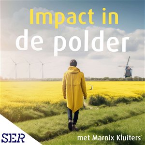 Impact in de Polder poster