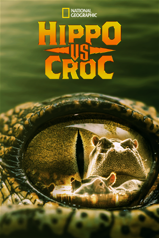Hippo vs. Croc poster