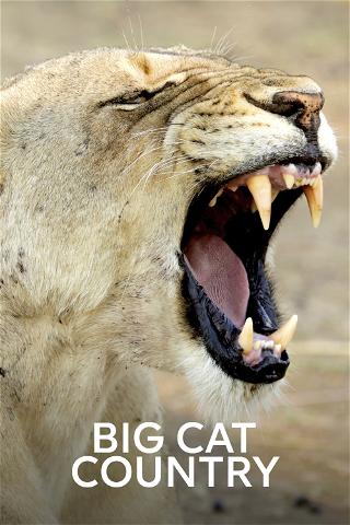Big Cat Country poster