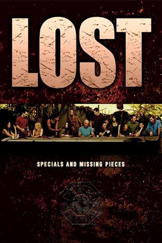 Lost: Missing Pieces poster