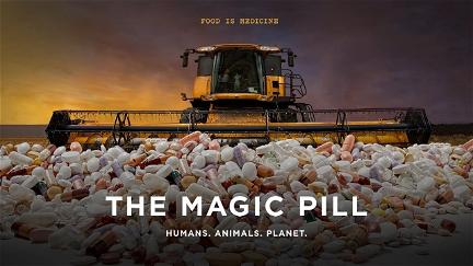 The Magic Pill poster