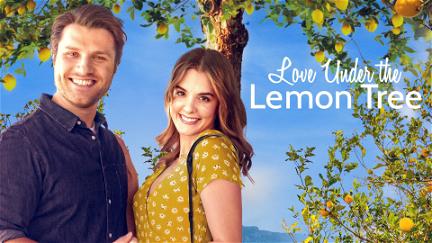 L'amour sous le citronnier poster