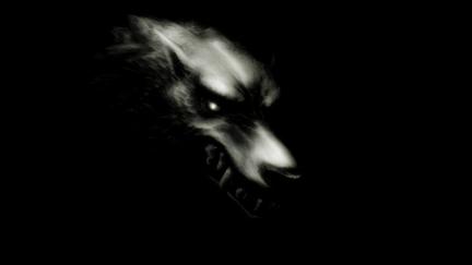 Dark Wolf poster