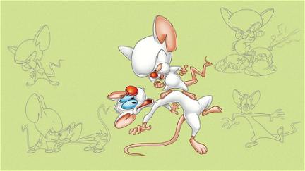 Pinky and the Brain poster
