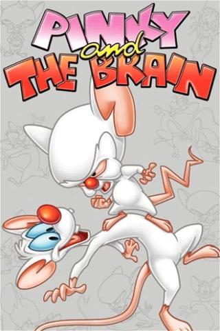 Pinky & der Brain poster