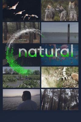 Natural poster