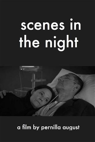 Scenes in the Night poster