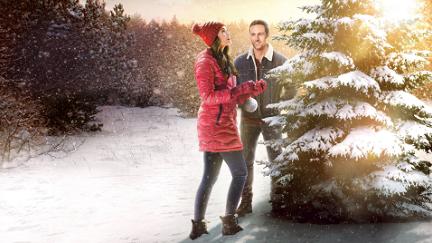 The Christmas Promise poster