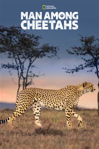 Man Among Cheetahs poster