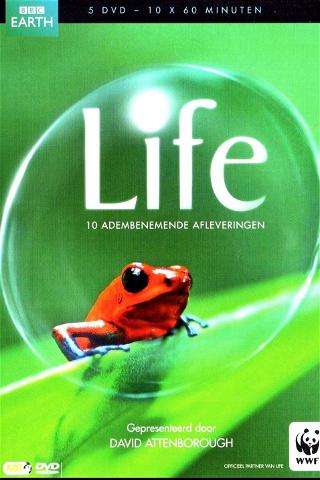 Life poster