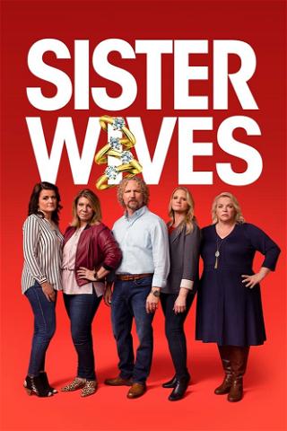 Sister Wives poster