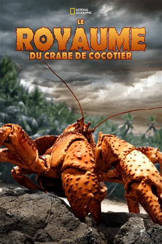 Le royaume du crabe de cocotier poster