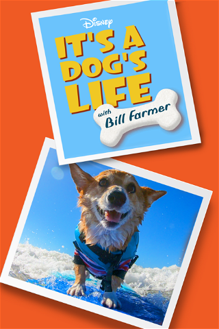 Een hondenleven met Bill Farmer poster