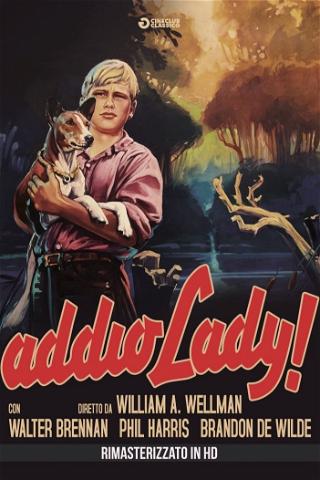 Addio Lady! poster