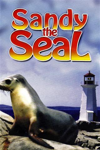 Sandy The Seal poster
