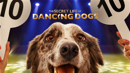 The Secret Life of Dancing Dogs poster