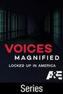 Voices Magnified: Locked Up in America poster