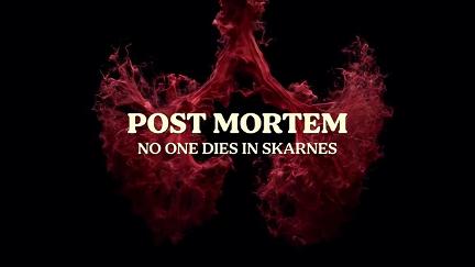 Post Mortem: Ingen dør i Skarnes poster