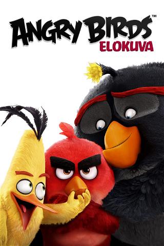 Angry Birds -elokuva poster