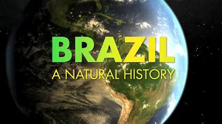 Brasiliens Fantastiske Dyr poster