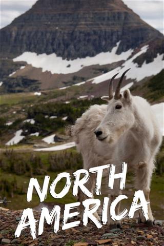 North America poster