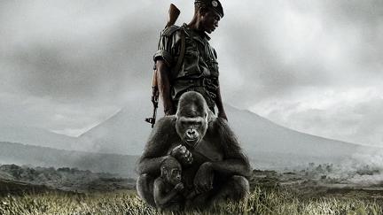 Virunga poster