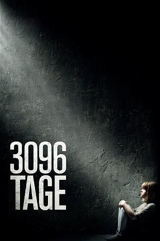 3096 Jours poster