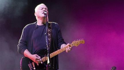 David Gilmour: In Concert poster