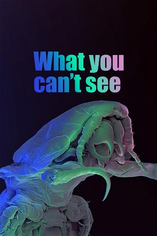 What You Can't See poster