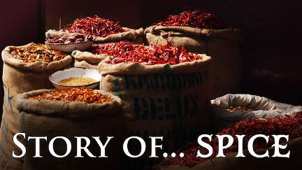 Story of..Spice poster