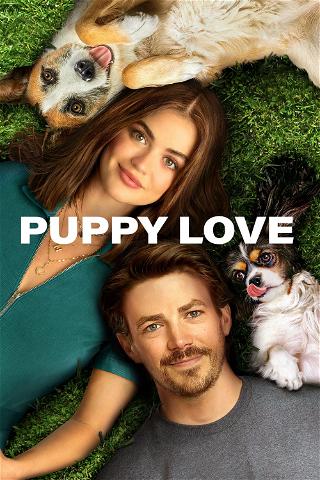 Puppy Love poster