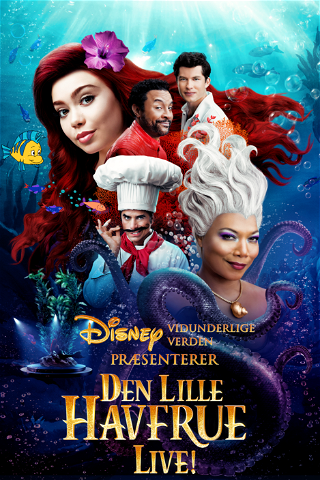 Disneys vidunderlige verden præsenterer Den lille Havfrue live! poster