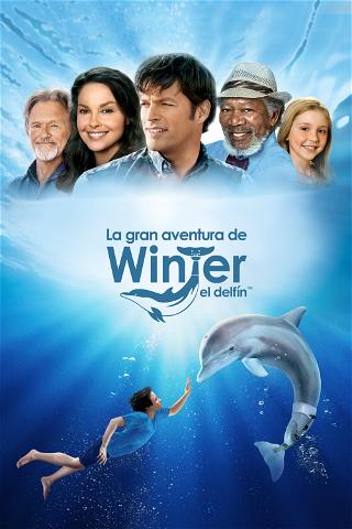 La gran aventura de Winter el delfín poster