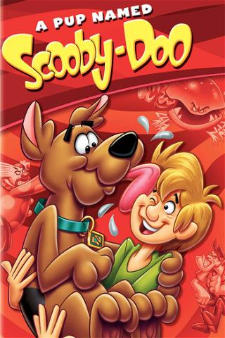 Scooby-Doo: A Pup Named Scooby-Doo poster