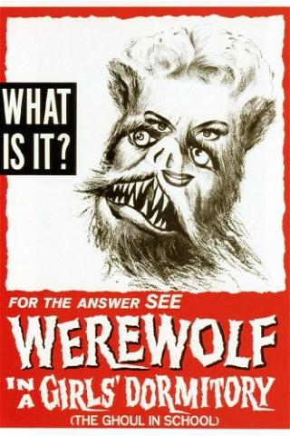 Werewolf in a Girls' Dormitory poster