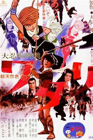 Watari, the Ninja Boy poster