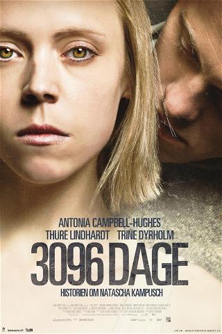3096 Dage poster