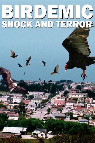 Birdemic - Shock and Terror poster