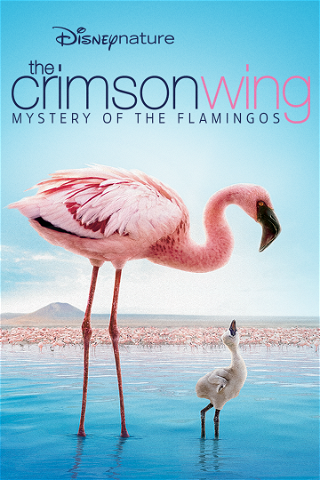 The Crimson Wing: Mystery of the Flamingos poster
