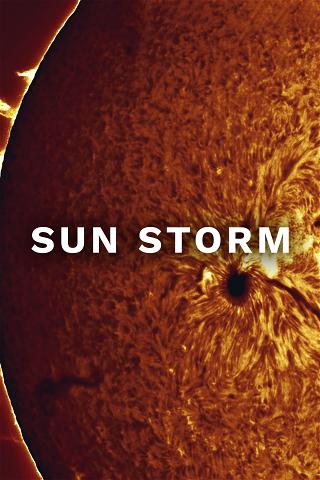 Sun Storm poster