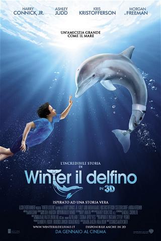 L'incredibile storia di Winter il delfino poster