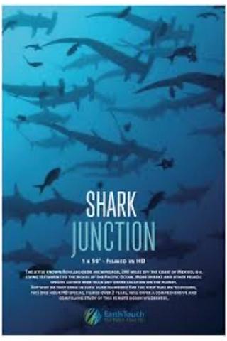 Shark Junction poster
